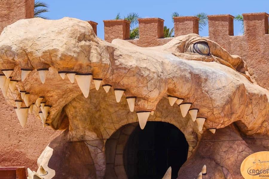 An unforgettable Day at CROCOPARC